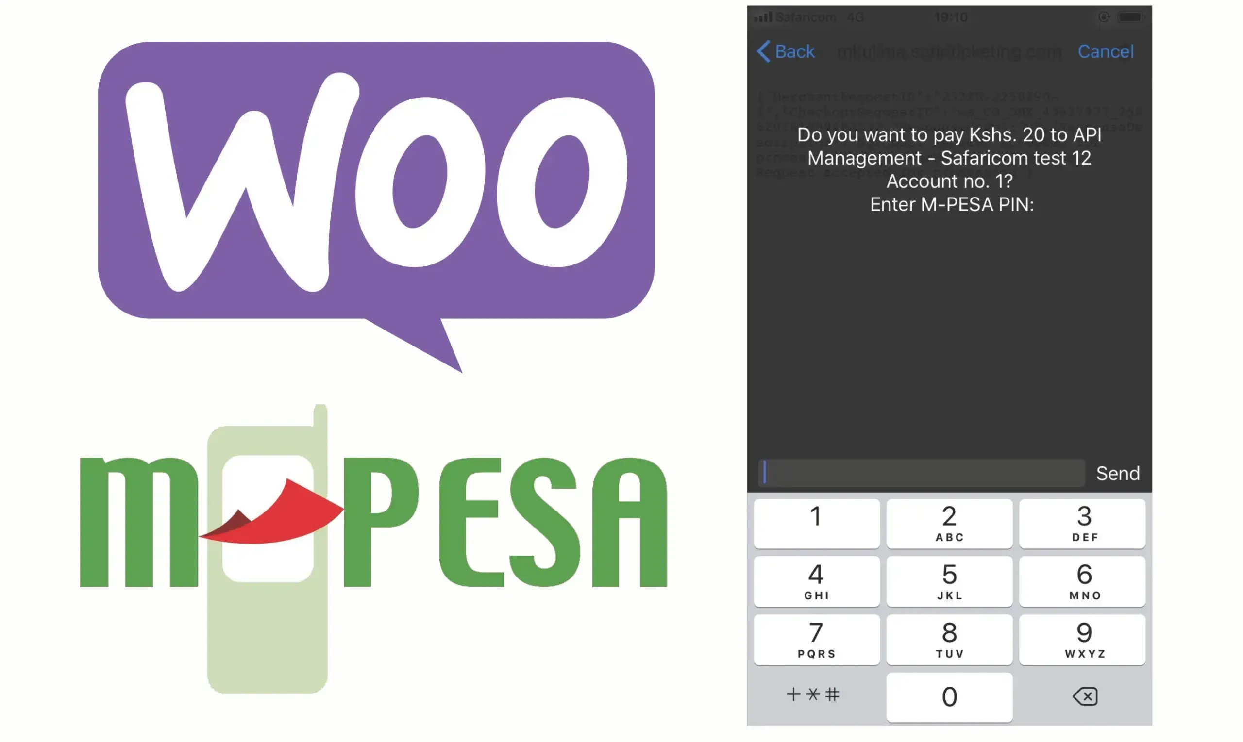 How to Accept Mpesa on your website